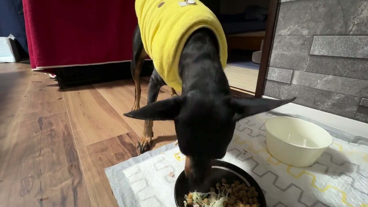 2026.03.12の誕生日ケーキASMR