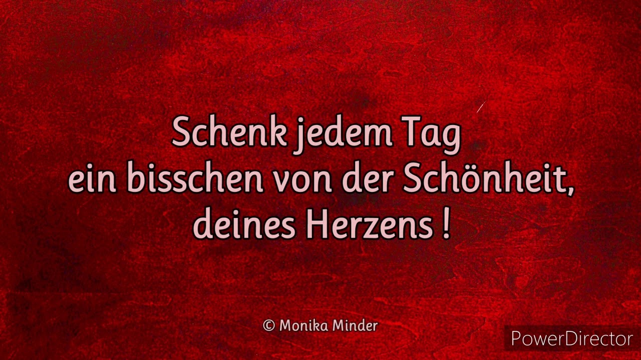 Lebensweisheiten/Zitate/Respekt/Liebe#Zitatevideos Julian N.