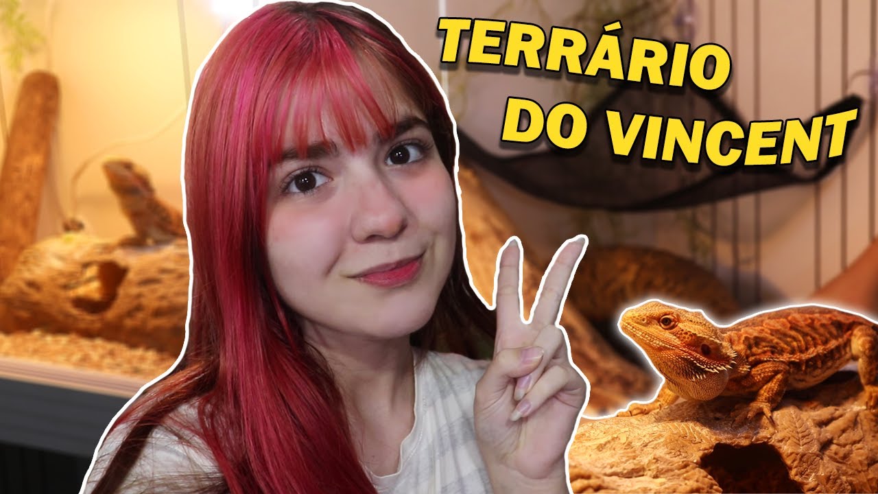 DECORANDO O TERRÁRIO NOVO DO VINCENT (meu dragão barbudo) 🦎✨🐉