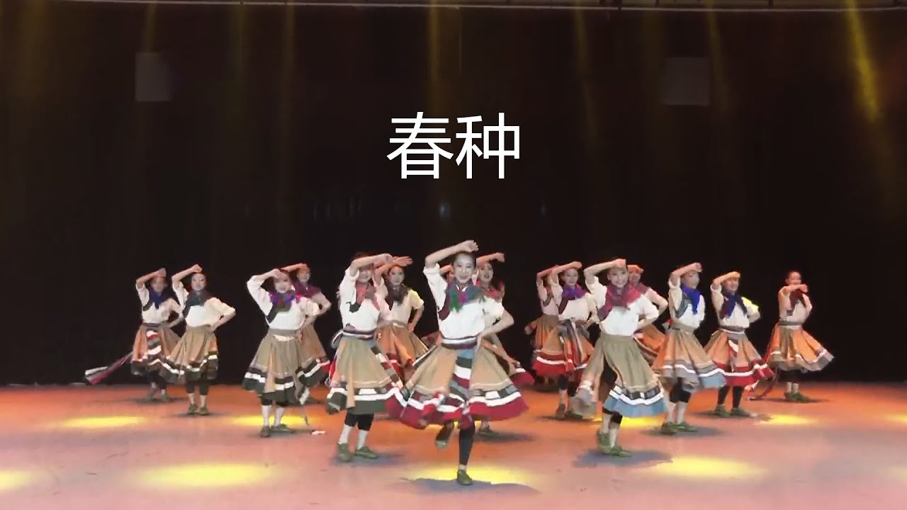 【群舞】春種【藏族舞】