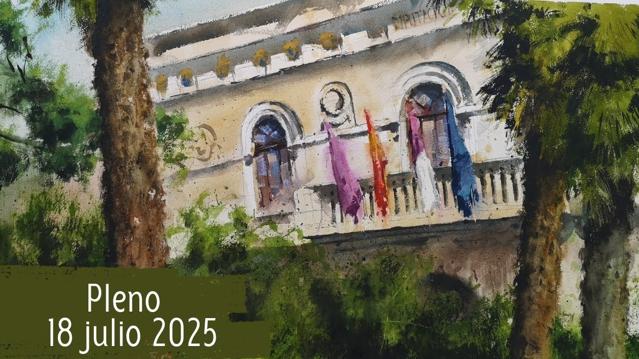 Pleno Diputación Guadalajara 18 julio 2025