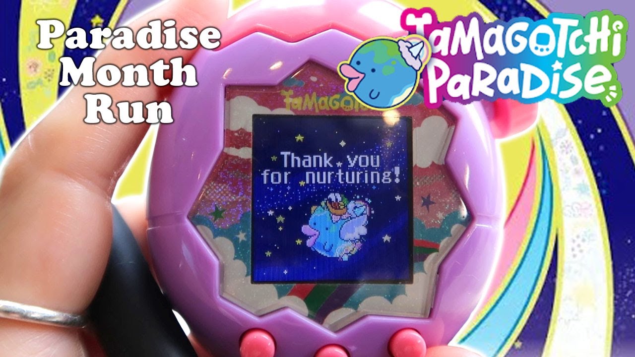 A Month Of Paradise, The New Tamagotchi Paradise