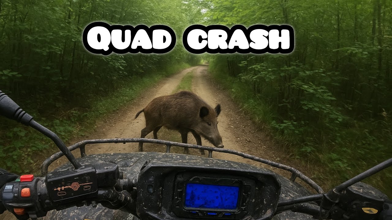 W Sarnę  Zaj38ałem albo w Jelenia Dzika Polaris Sportsman 570