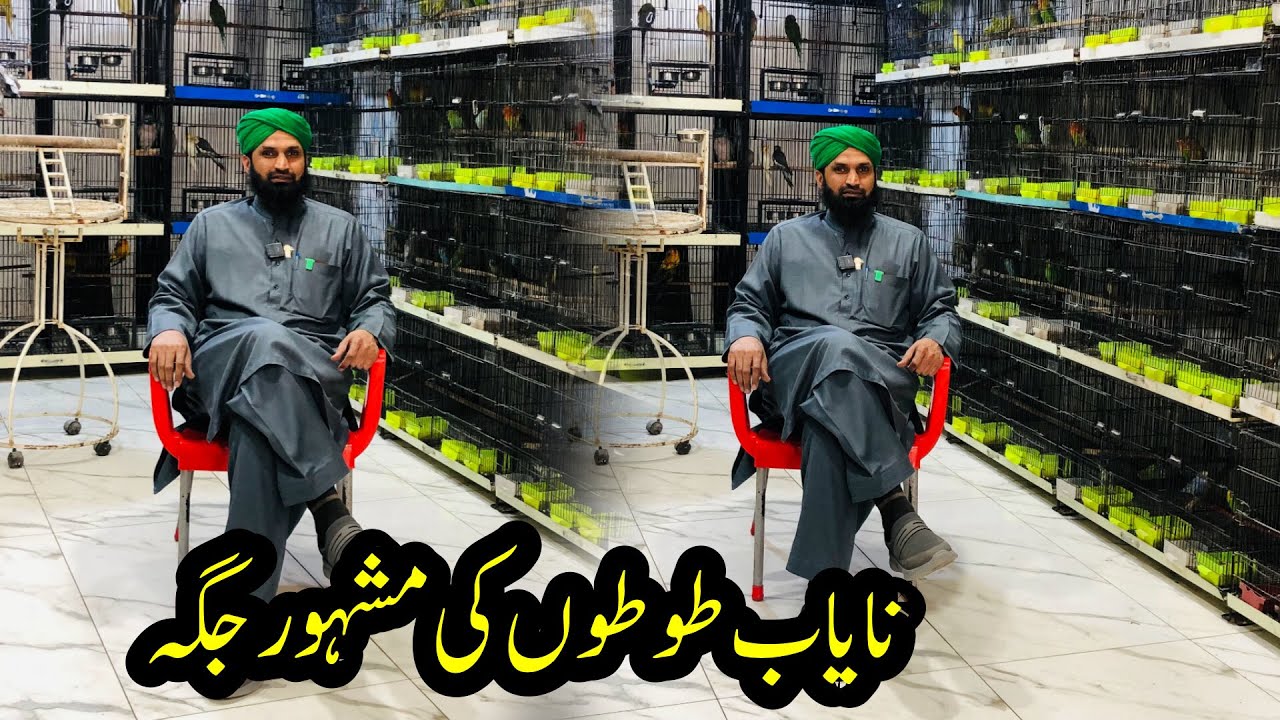 Rawalpindi birds Market | African Grey , Yellow Ringneck | Exotic Birds Market