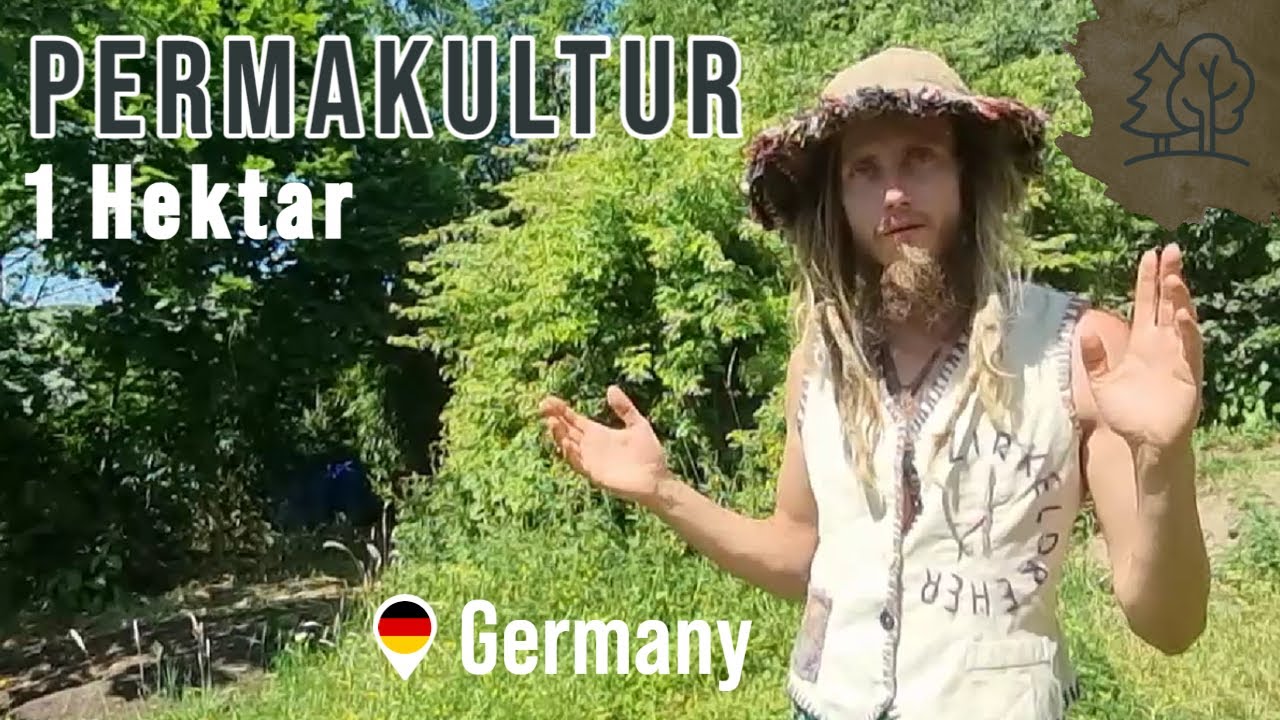 Waldgarten Rundgang - @permaculture-design._de - Deutschland Sommer 2022