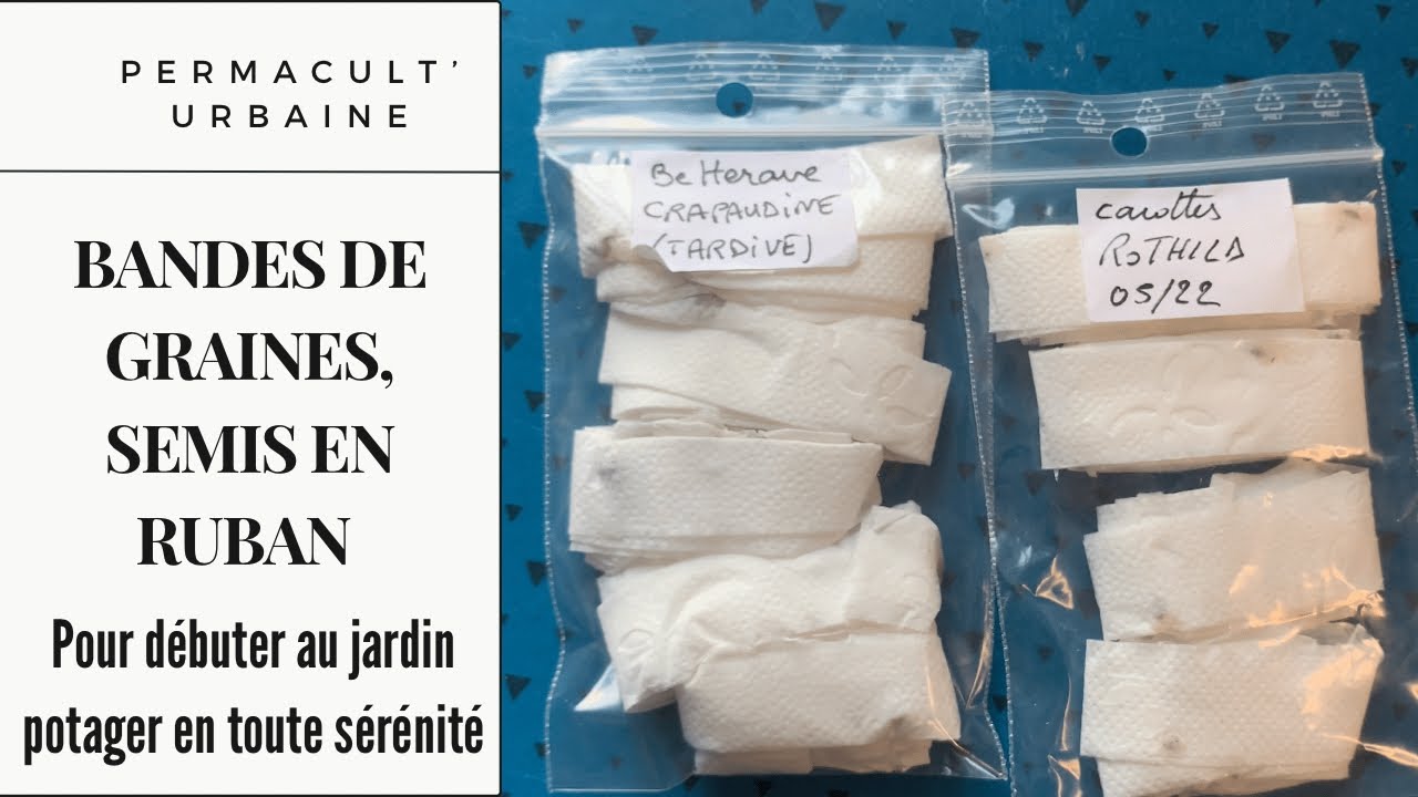 Comment créer des bandes de graines, des semis en ruban pour son jardin potager ?
