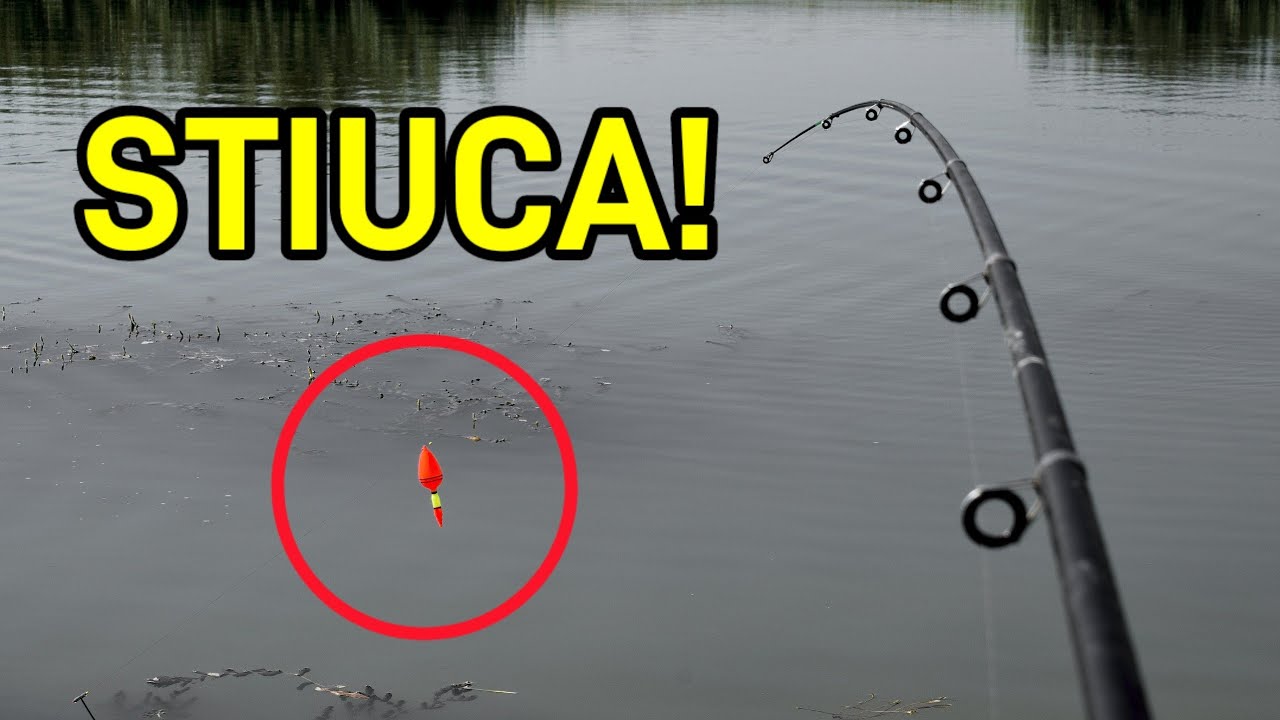 M-A ATACAT STIUCA  (Episodul 21)