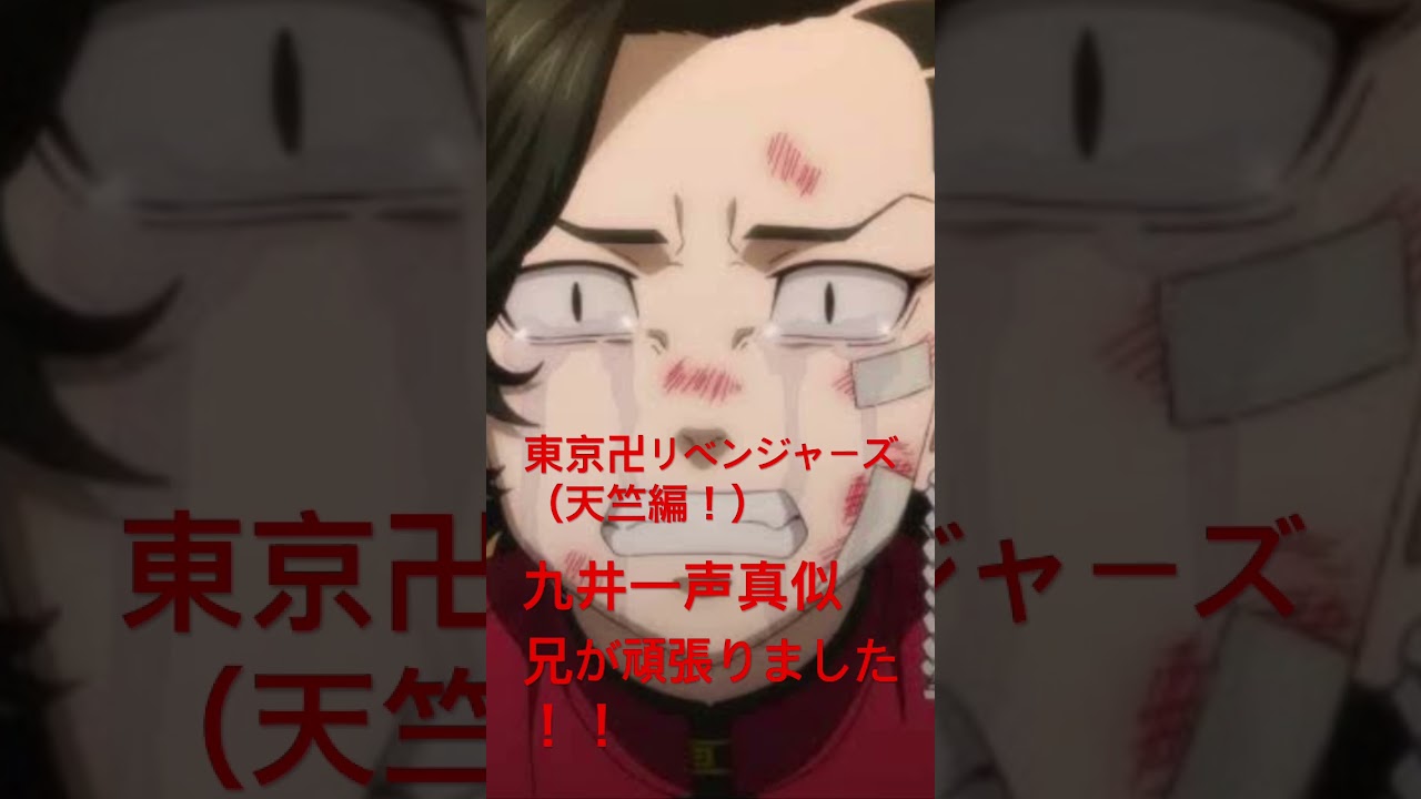 東京卍リベンジャーズ天竺編（兄頑張りました！）