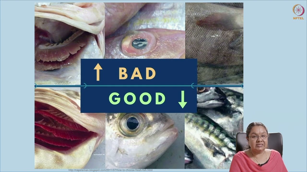 Spoilage in seafood.
