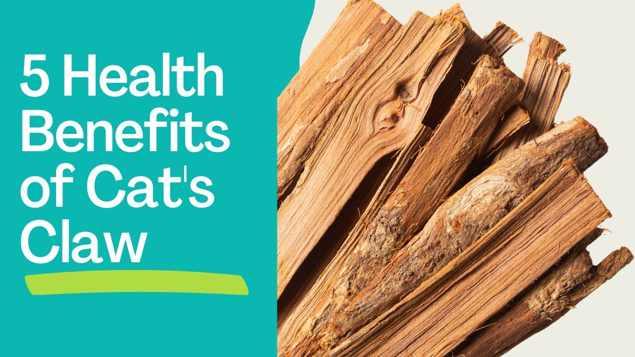 Cat's Claw Herb: 5 Powerful Health Benefits (And Potential Side Effects To Know)