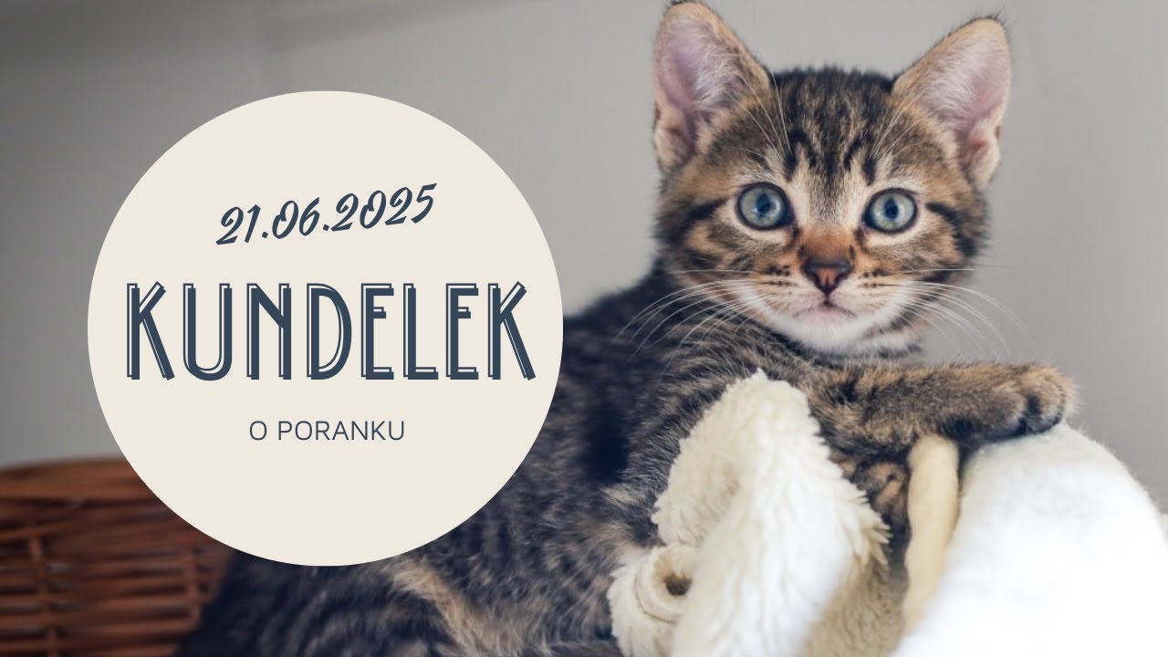 Kundelek o poranku. 21.06.2025