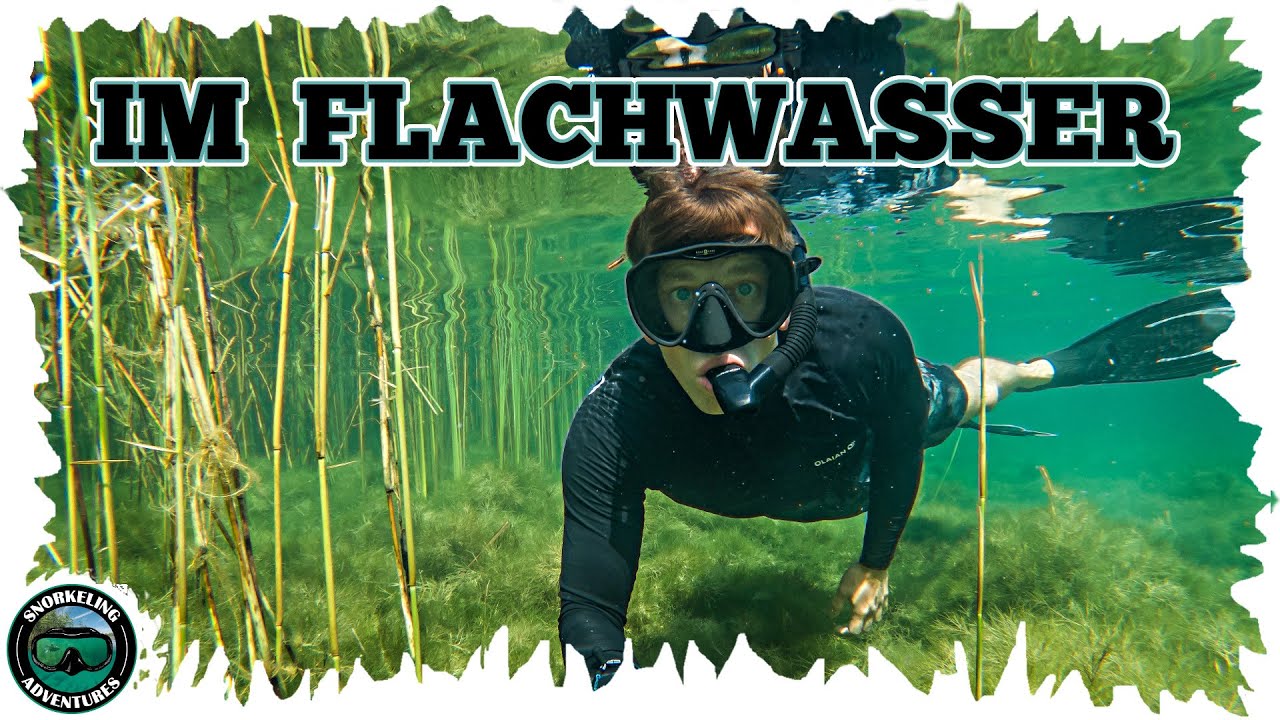 Schnorcheln im flachen Wasser ...oder, warum man nicht immer abtauchen muss!