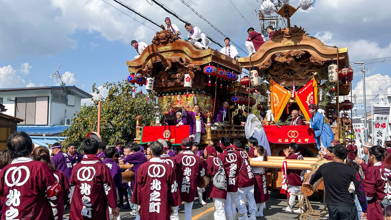 R5.10.15 大東 北条 巨大だんじり曳行(北之町・中之町・辻之町・四條之町・東之町) 北條神社秋祭り 2023/10/15(日)