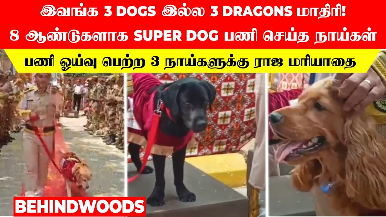 இவங்க 3 Dogs இல்ல 3 Dragons மாதிரி!.8ஆண்டுகளாக Super Dog பணி!..ஓய்வு பெற்ற 3 நாய்களுக்கு ராஜ மரியாதை