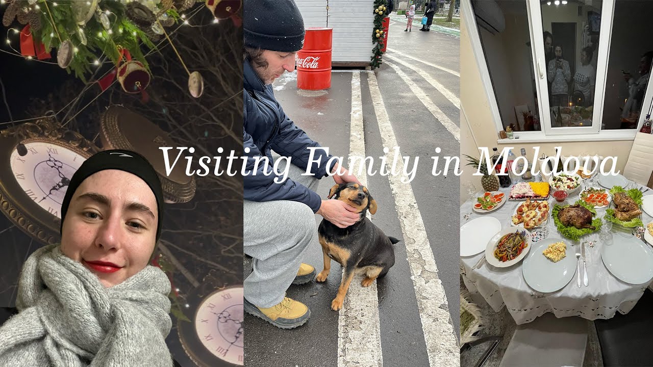 Home for the holidays | Lots of food, walks, and dogs | Moldova Vlog