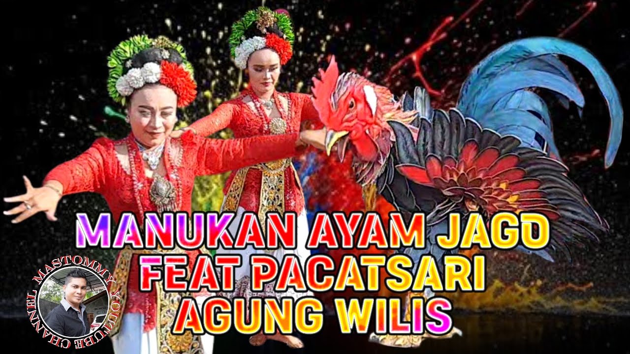 Manukan Ayam Jago Feat Pancatsari Agung wilis Lokasi Gembolo