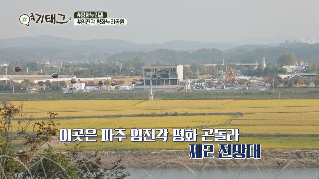 임진강 뷰 맛집☀️ 역사적 장소를 재현한 임진각 평화 곤돌라 JTBC 팩추얼(JTBC FACTUAL) | JTBC 201109 방송