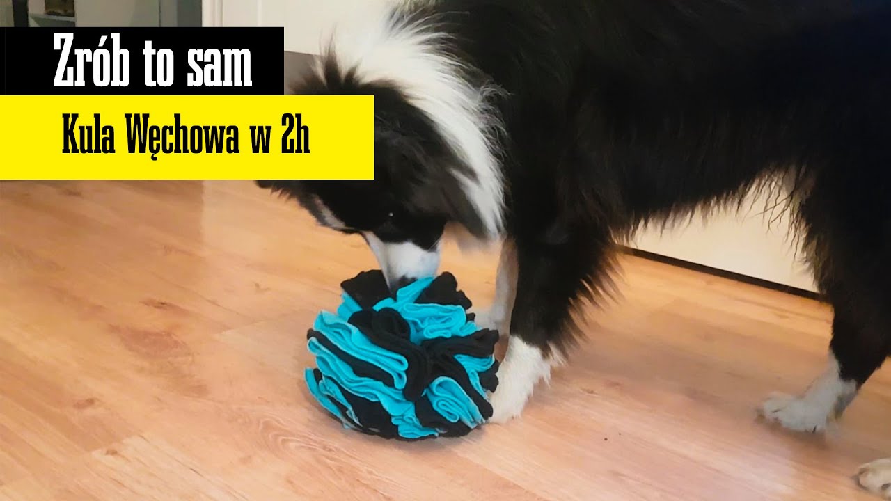 DIY : Kula Węchowa w 2h