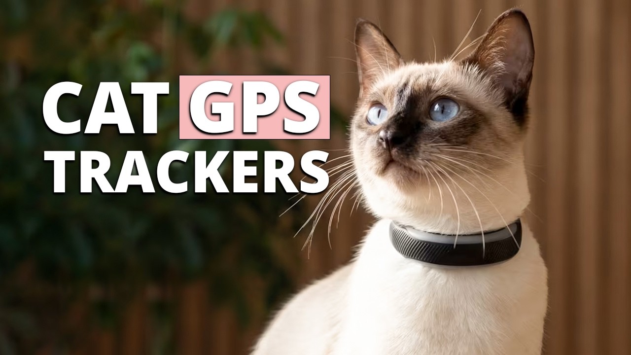 7 Best GPS Cat Trackers of 2026 | No Subscription Options Included
