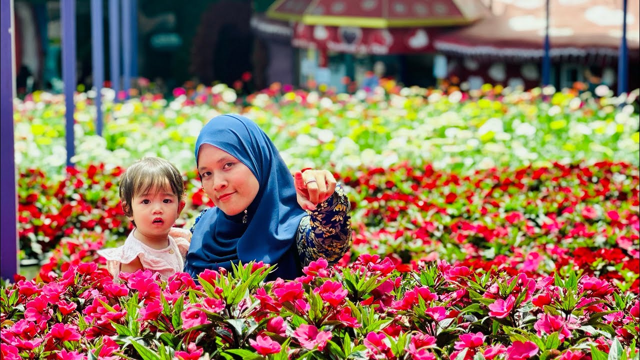 Cameron Highland Malaysia | Sheep Sanctuary | Kea Farm | Cameron Lavender Garden