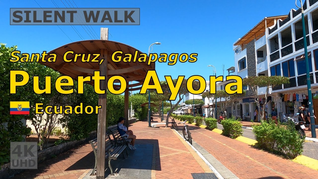 🇪🇨 Puerto Ayora, Santa Cruz, Galapagos, Ecuador, May 2025 | Silent city walk | #4k