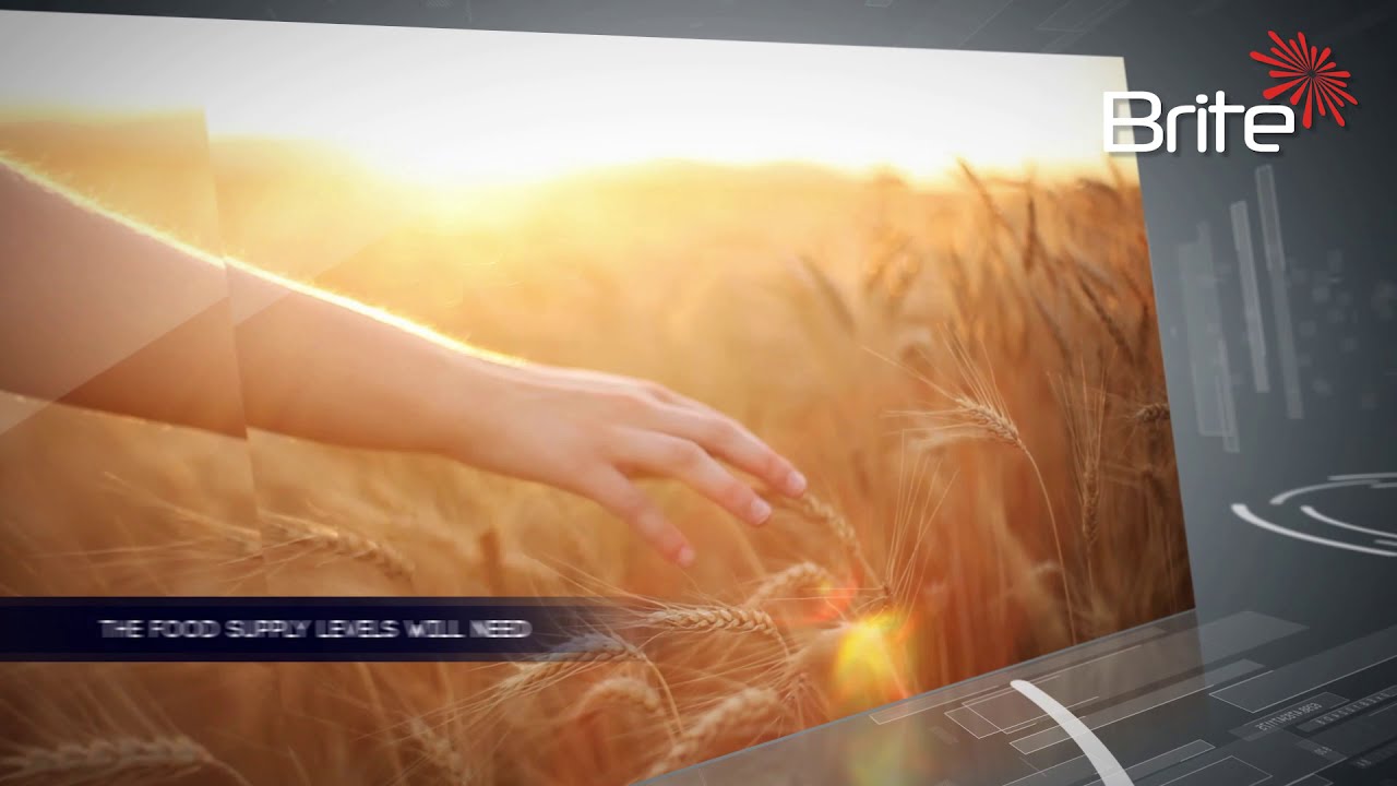 Brite Solar Presentation