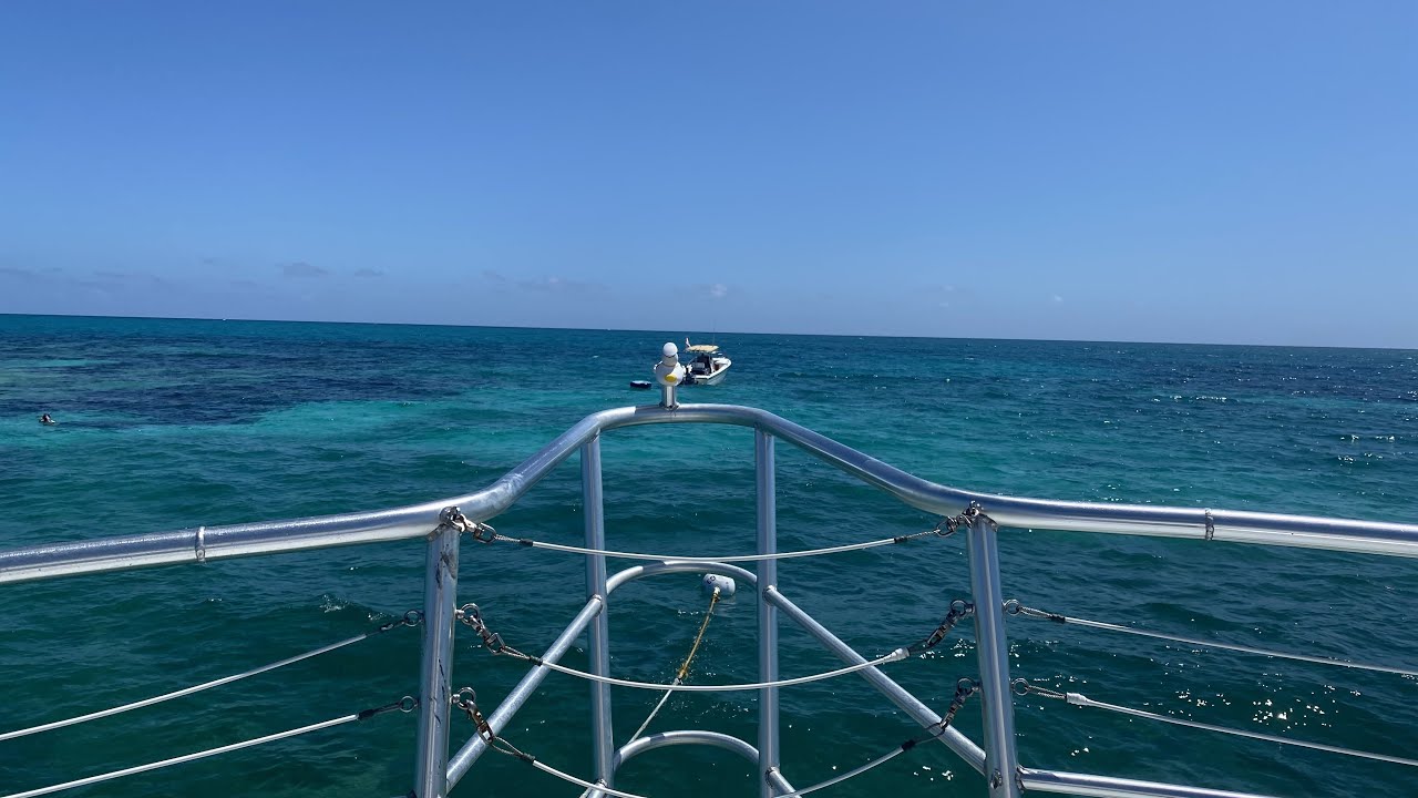 SNORKELING The CORAL REEF IN KEY LARGO
