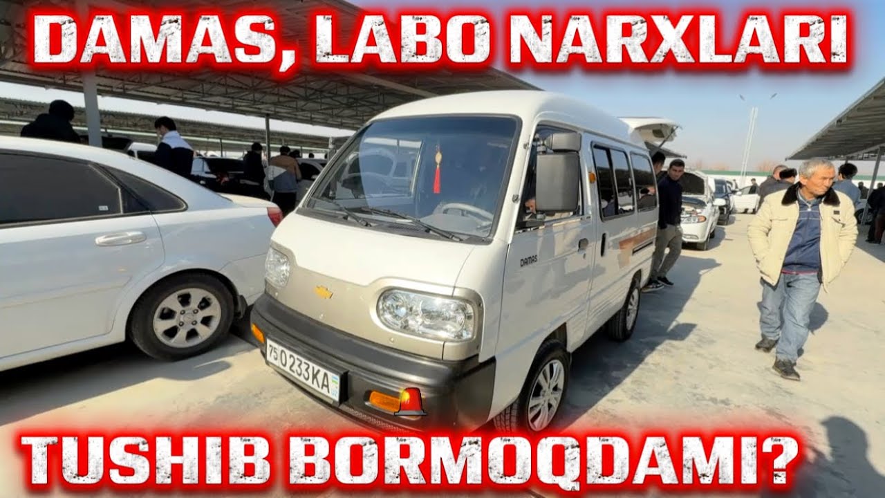 NARXLAR KESKIN TUSHMOQDAMI? TERMIZ AVTO BOZORI 11.01.2026y