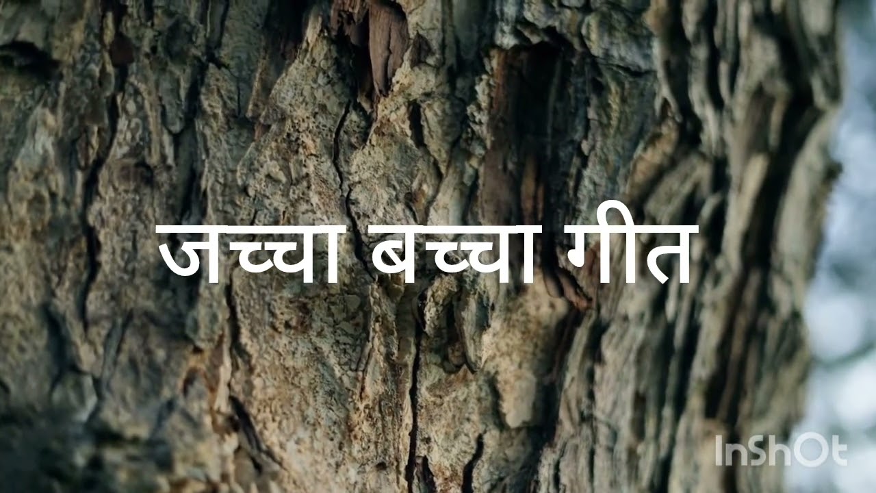 नया जच्चा बच्चा गीत 👶👶