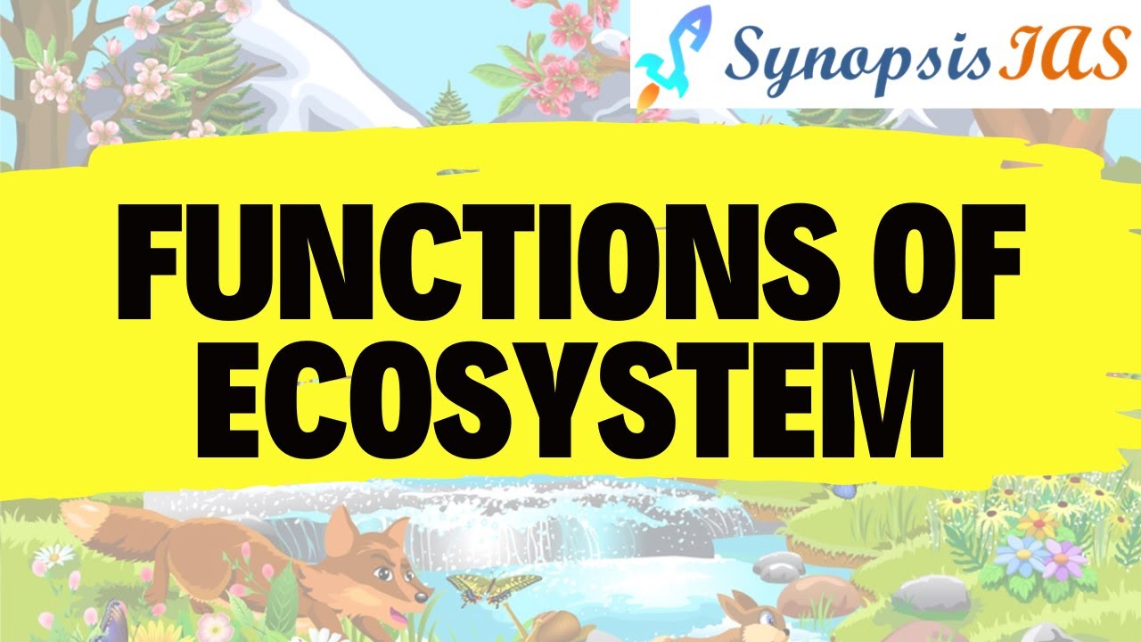Environment L15 Functions of Ecosystem UPSC IAS Prelims पारिस्थितिक तंत्र के कार्य