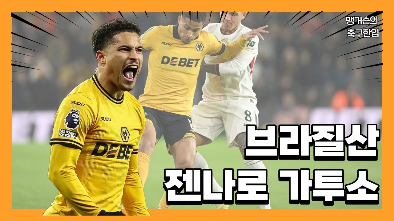 맨유가 노리는 중원 파이터 : 주앙 고메스 플레이 스타일 분석