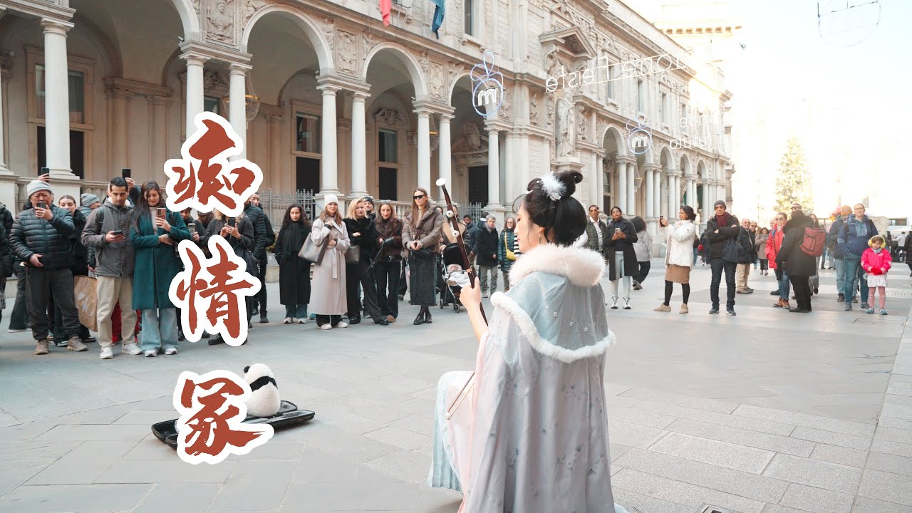 二胡一曲【痴情冢】多少悲伤泪 Erhu performance