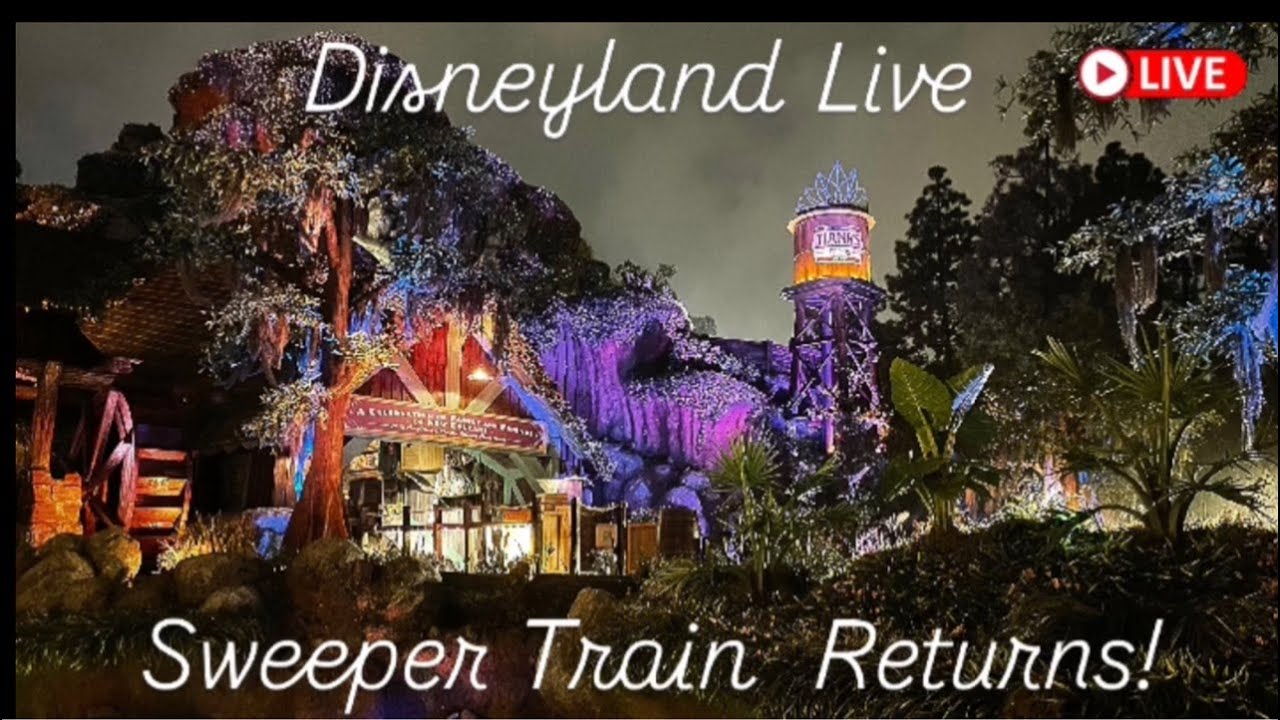 🔴 LIVE: Disneyland Sunday Stream! Paint the Night, Wondrous Journeys Fireworks and Rides - 08/10/25