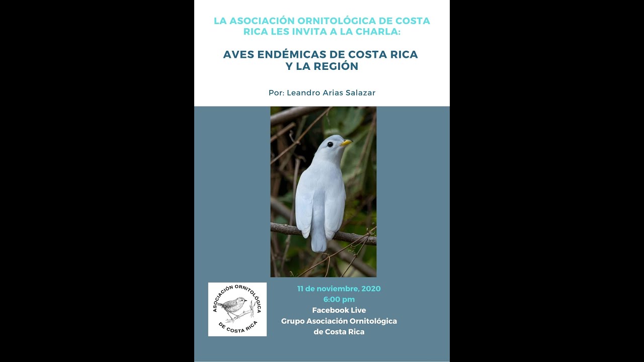 Aves endémicas de Costa Rica y la región