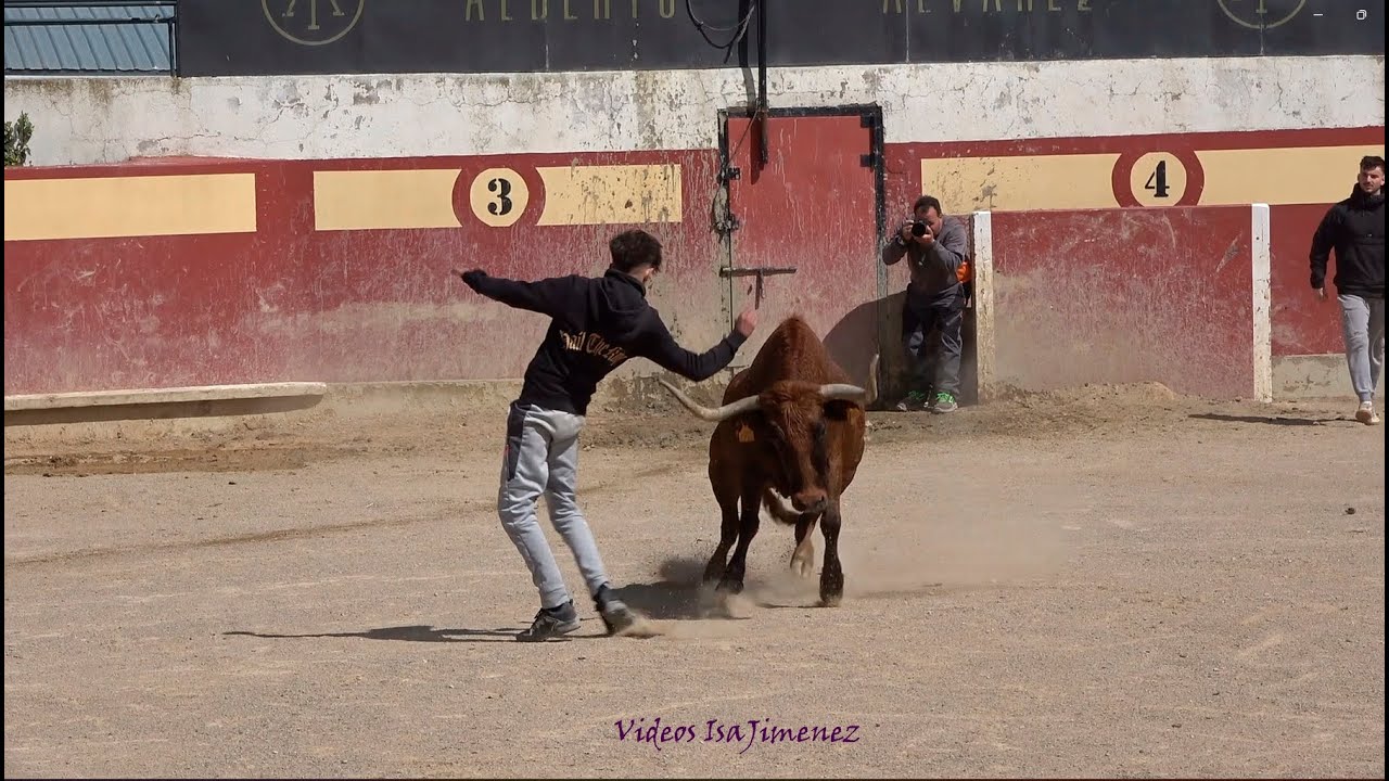 Capea Privada - Cumpleaños Jesús Teba - Valareña (Zaragoza) - 29/03/2025 - HD