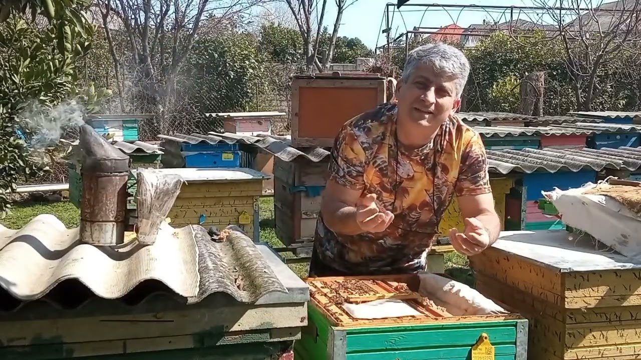 Erkən yazda arılara qulluq.