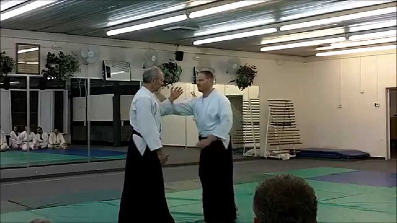 Tenkan Irimi: A Dynamic Defense