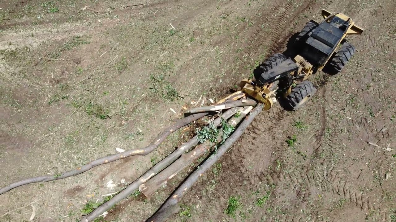 More land clearing with KTS