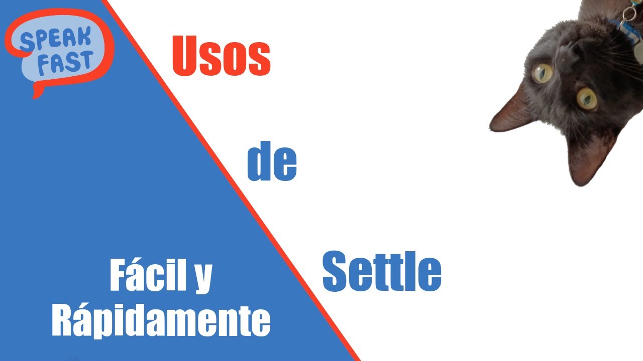 ¿Cómo usar Settle? Apréndelo de una vez!