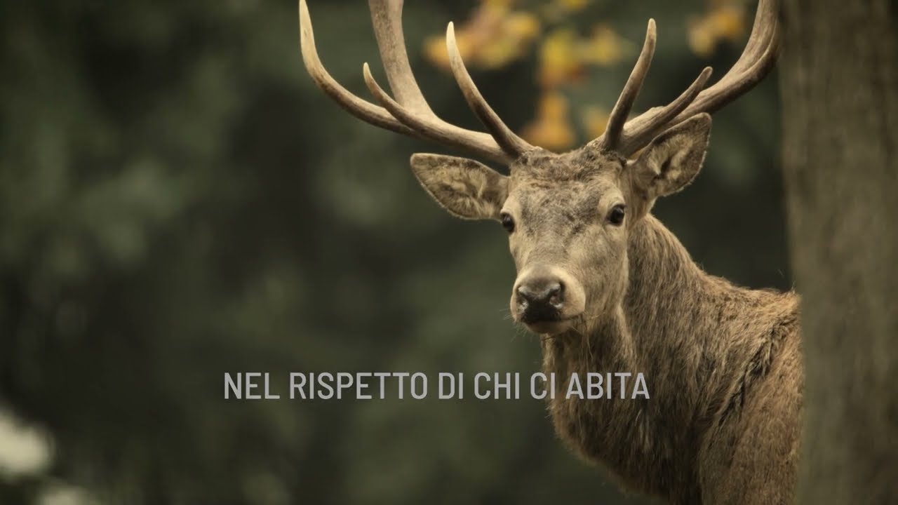 Sartorilegno Group. 40 anni di passione per il legno.
