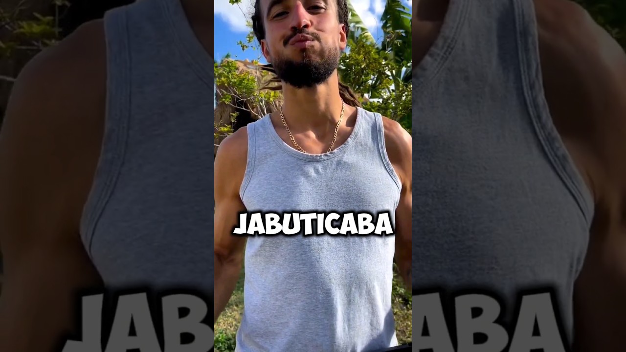 Jabuticaba &ndash; Facts you should know about this fruit