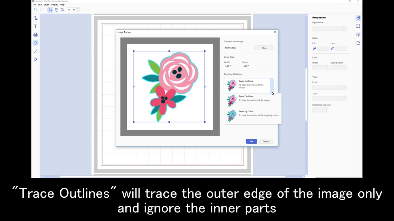 How to Use Image Tracing on CanvasWorkspace