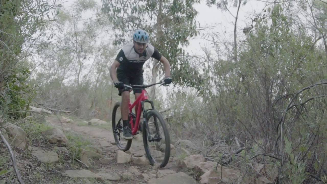 Silverback Slider & Sprada - IDS Technology