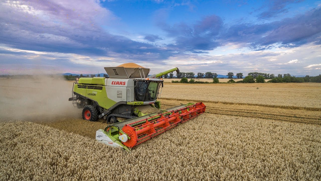Claas Lexion 770TT 2x |  P&scaron;enica 2018 | East Slovakia Agriculture (ESA) 2018