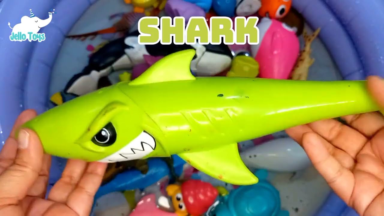 Sea creatures Names and Facts  with Sea animal toys