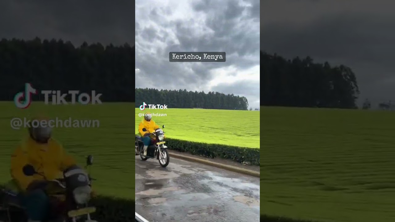 beautiful town of Kericho, Kenya #kericho #kenya #yoyohoneysingh