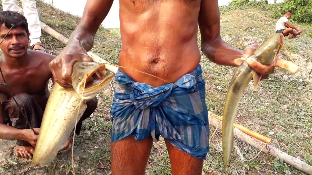 Best Bamboo Stick Net Fishing Trap  || Unique Fish Trap