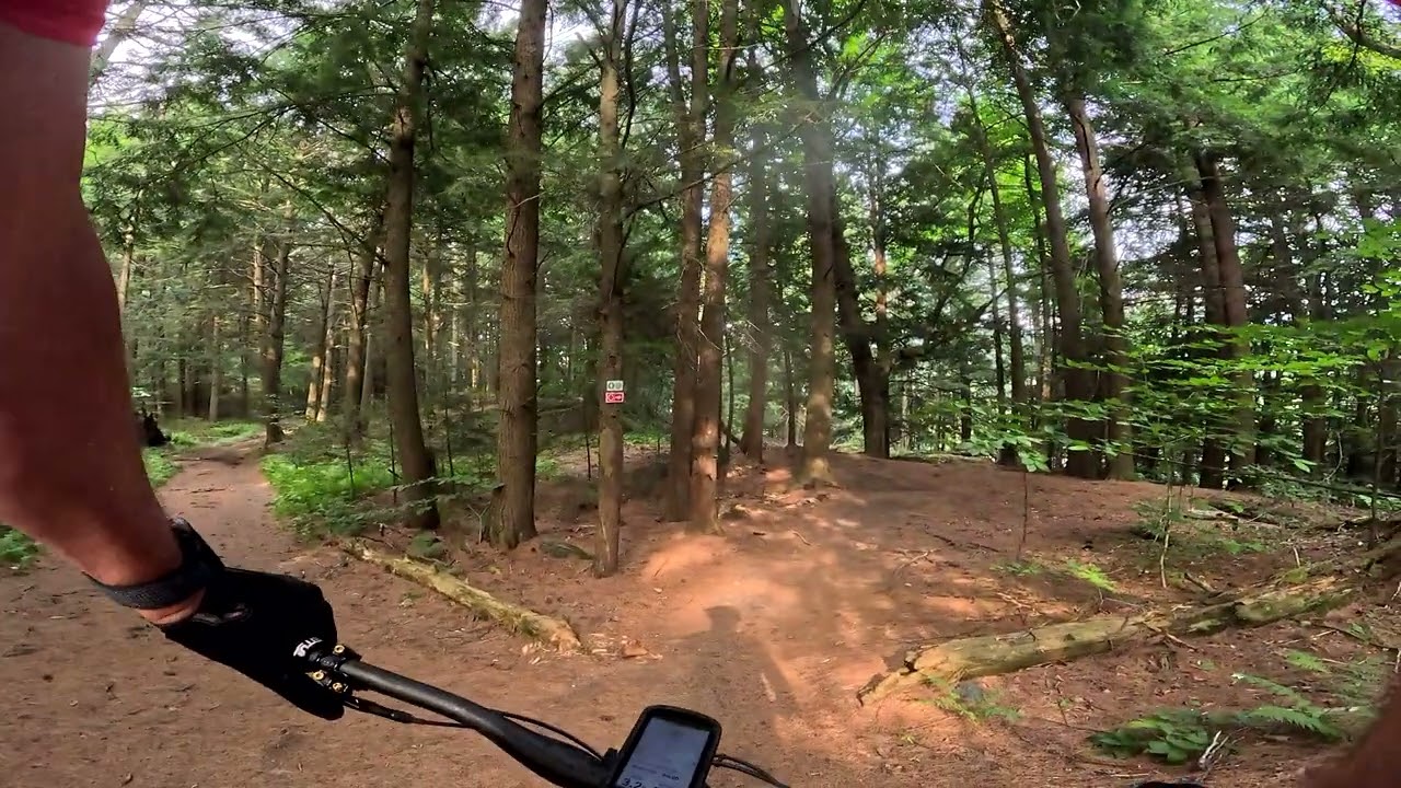 Cady Forest Trails