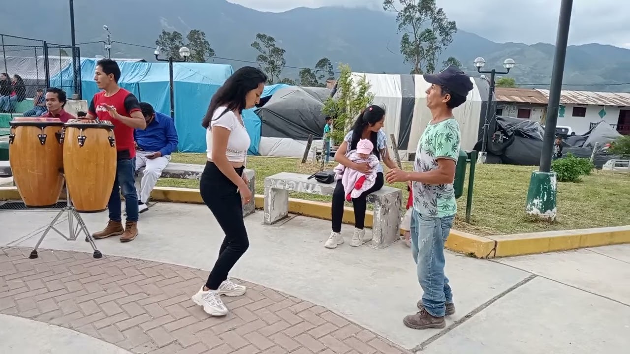 LA PALMA CENTRAL DE JAÉN EN SU FIESTA PATRONAL NOV2022