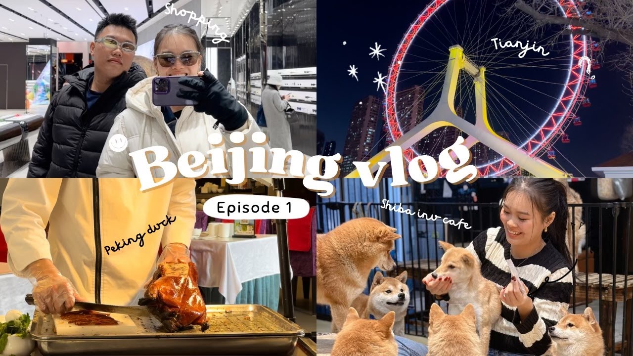 BEIJING VLOG eps. 1 | shiba inu cafe, universal studios, explore Tianjin, peking duck